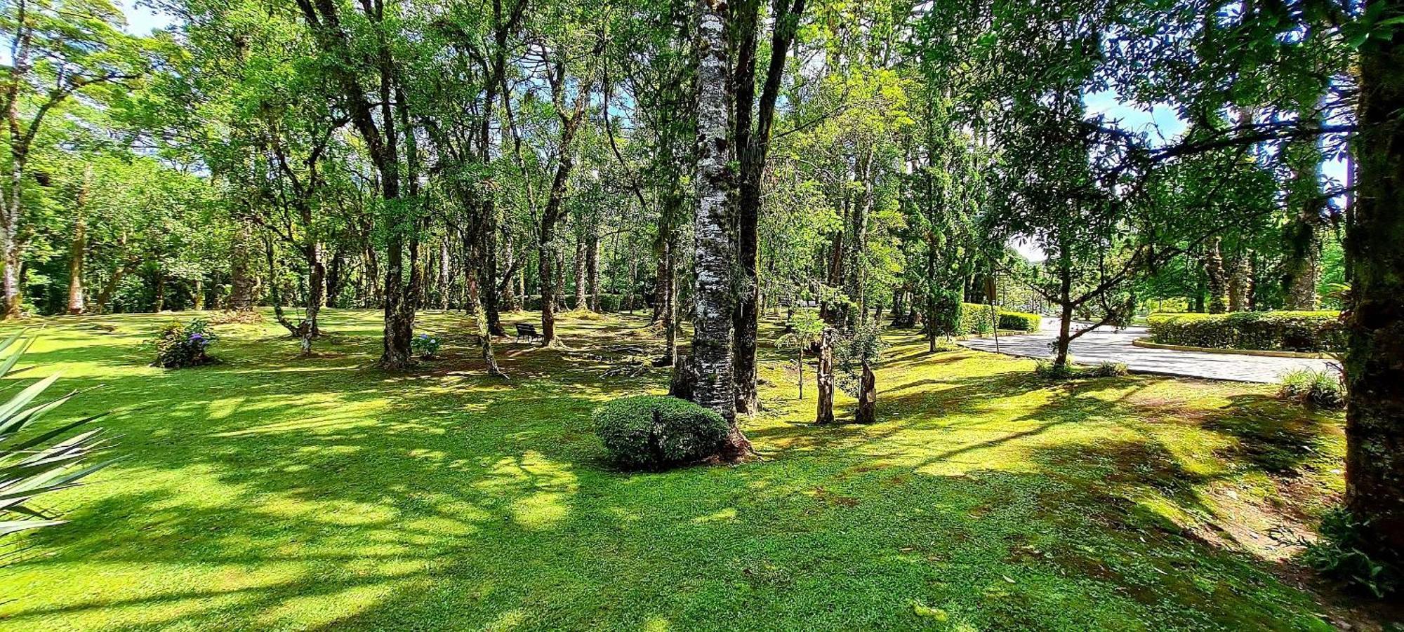 Fantastico Flat No Laje De Pedra Mountain Village Apartment
