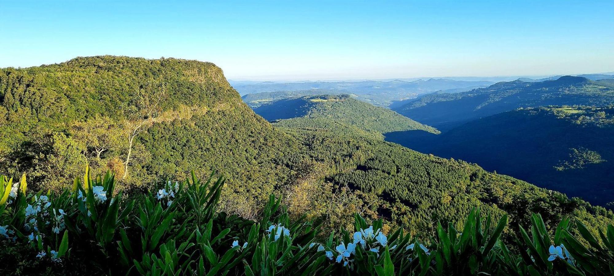 Fantastico Flat No Laje De Pedra Mountain Village